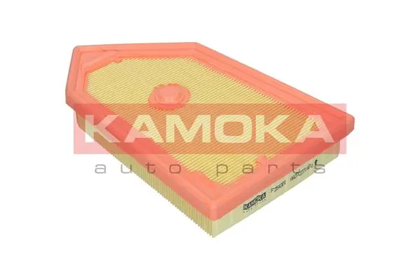 Air Filter F254301