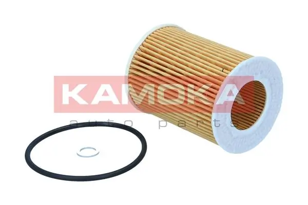 Oil Filter F125301