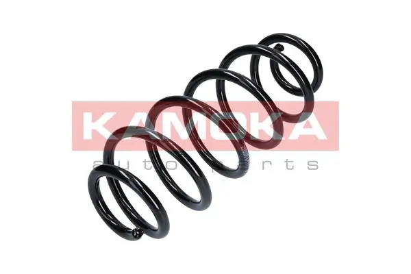 Suspension Spring 2110100