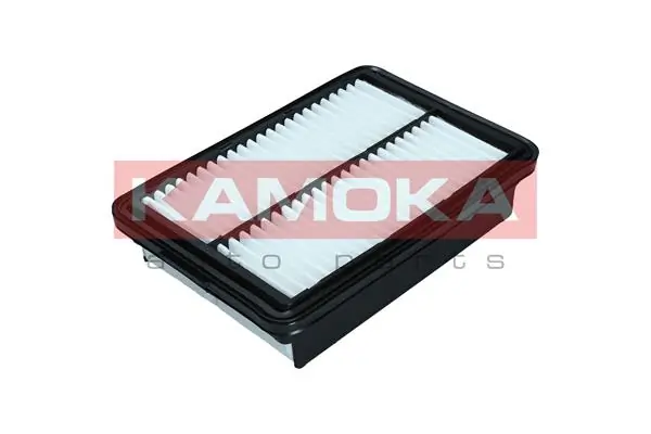 Air Filter F253101