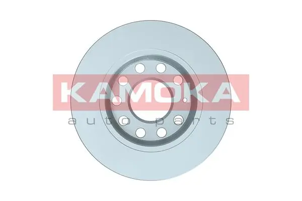 Brake Disc 1031113