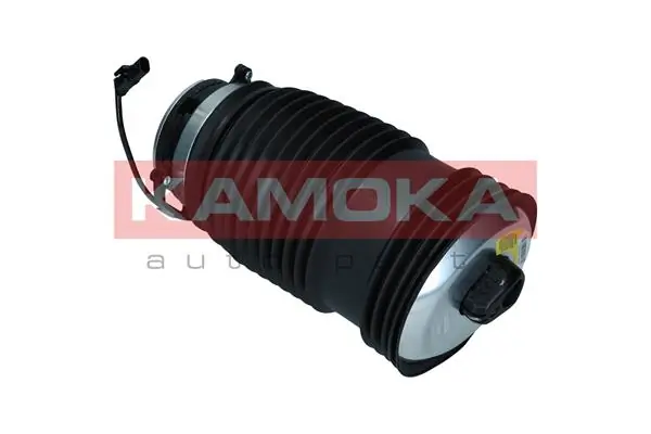 Air Spring, suspension 2079051