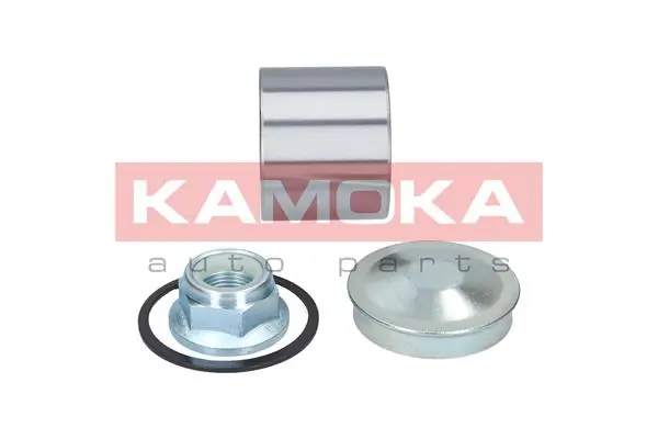 Wheel Bearing Kit 5600067