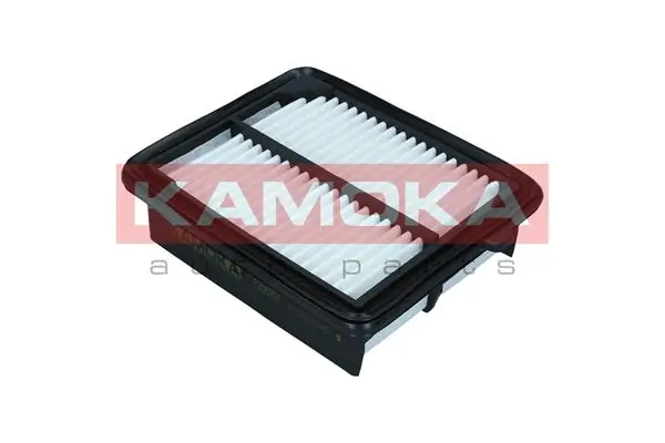 Air Filter F259701
