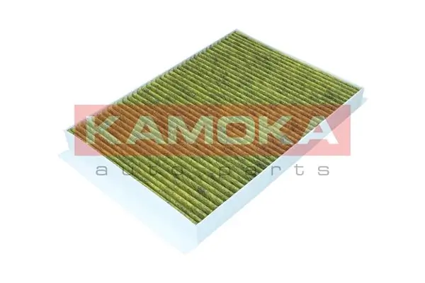 Filter, cabin air 6080106