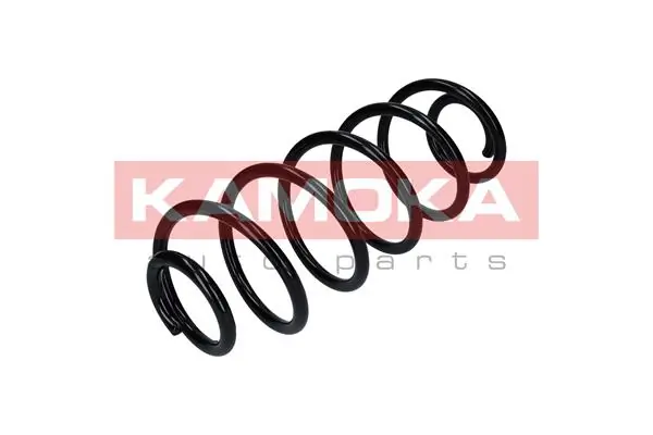 Suspension Spring 2120285