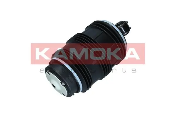 Air Spring, suspension 2079053