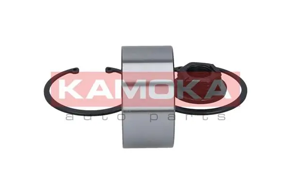 Wheel Bearing Kit 5600016