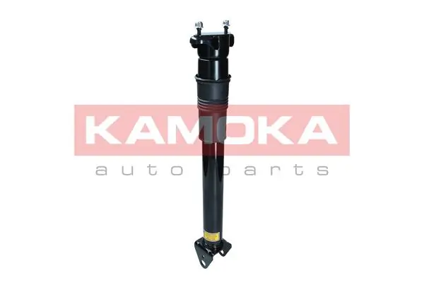 Air Suspension Strut 2070014