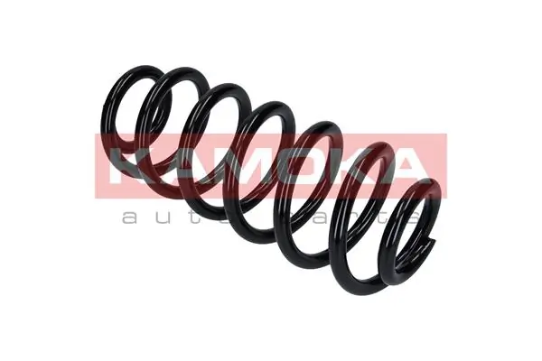 Suspension Spring 2120330