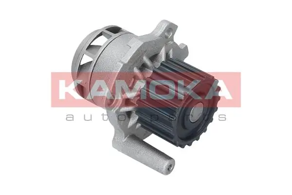 Water Pump, engine cooling T0251