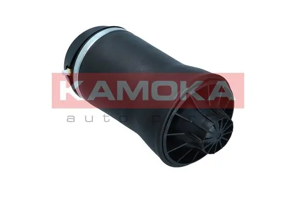 Air Spring, suspension 2079028