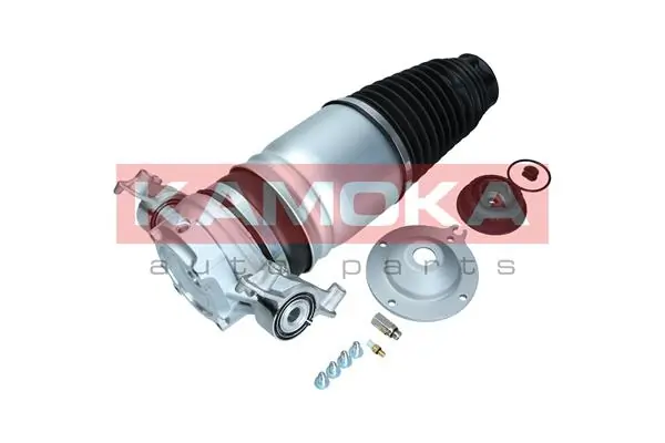 Air Spring, suspension 2079012