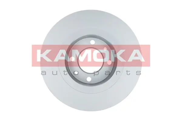 Brake Disc 1032296