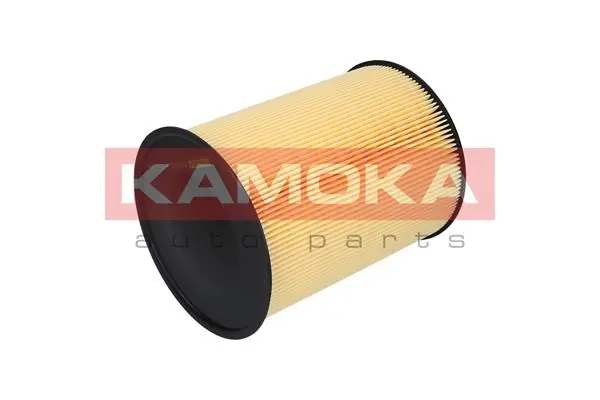 Air Filter F215801