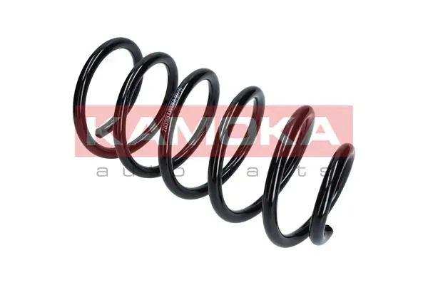 Suspension Spring 2110353