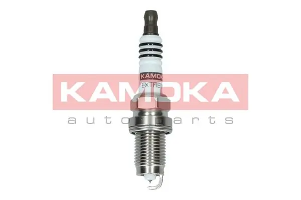 Spark Plug 7100027
