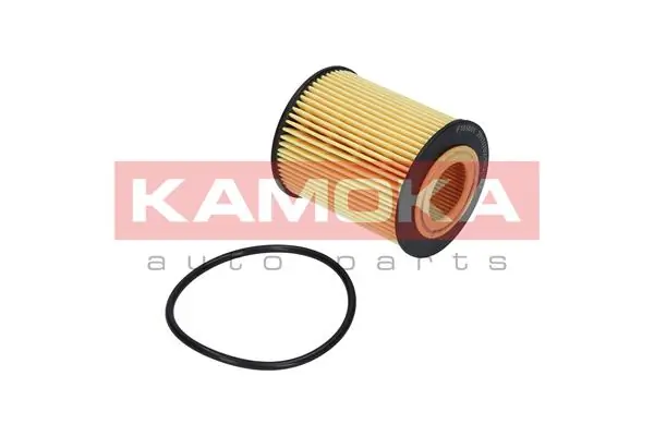 Oil Filter F106601