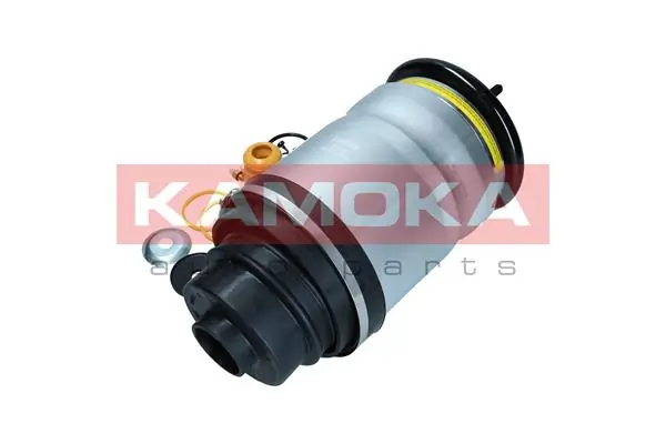 Air Spring, suspension 2079033