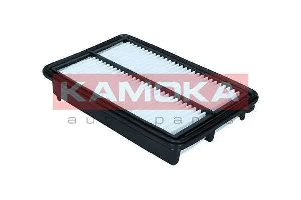 Air Filter F256801
