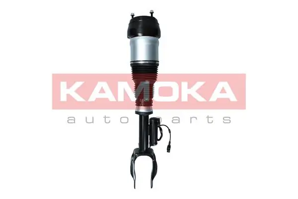 Air Suspension Strut 2070003