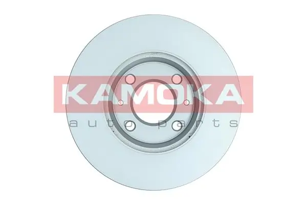 Brake Disc 103346