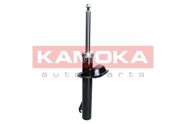 Shock Absorber 2000387