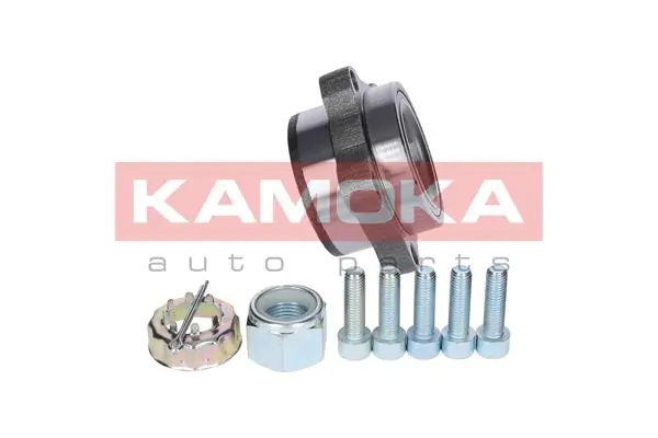 Wheel Bearing Kit 5500138