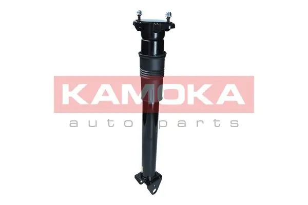 Air Suspension Strut 2070014