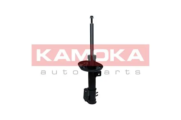 Shock Absorber 2000576