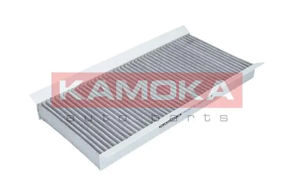 Filter, cabin air F502901