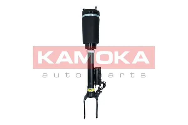 Air Suspension Strut 2070015