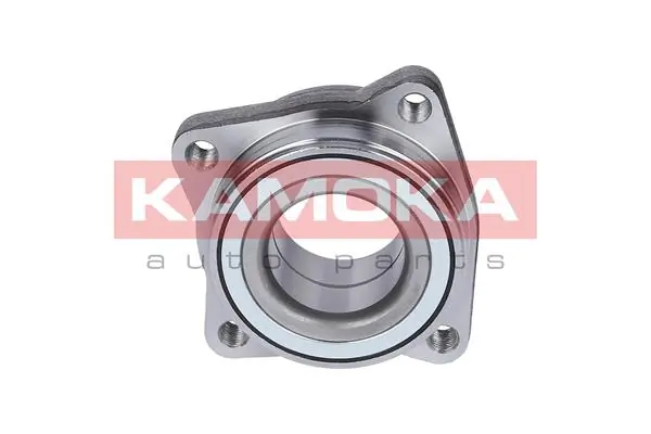 Wheel Bearing Kit 5500174