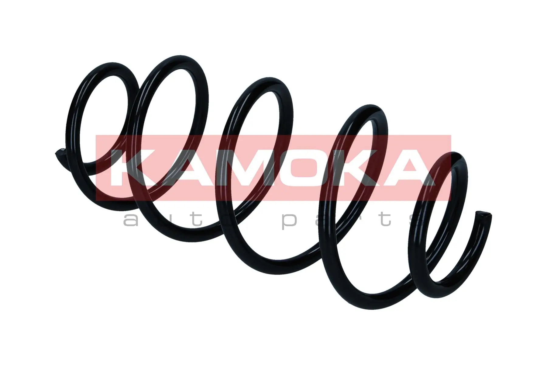 Suspension Spring 2110478