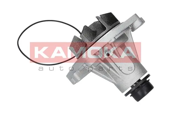 Water Pump, engine cooling T0006