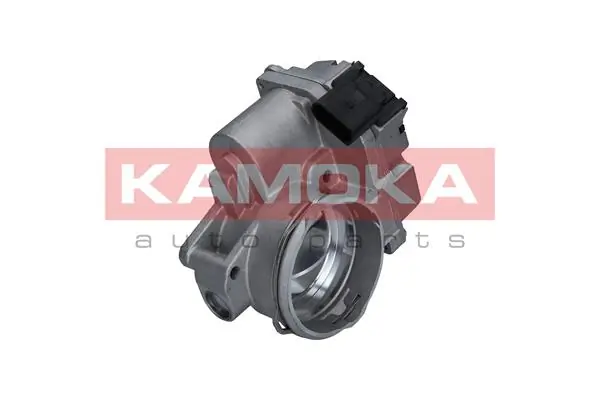 Throttle Body 112011