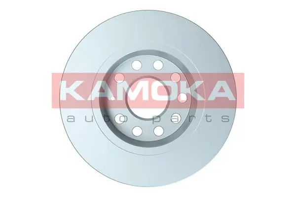 Brake Disc 103171