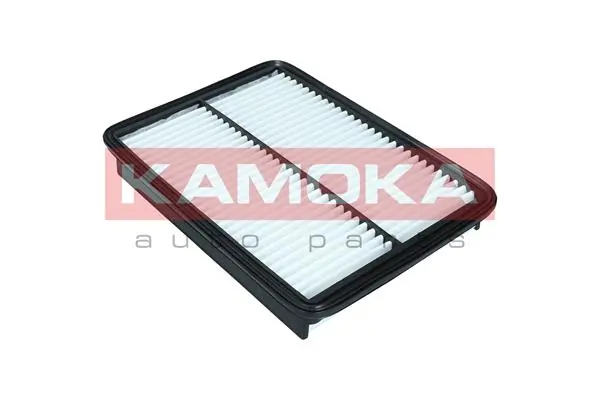 Air Filter F245501