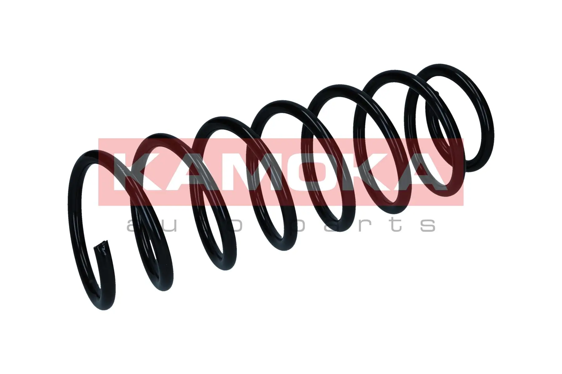 Suspension Spring 2120377