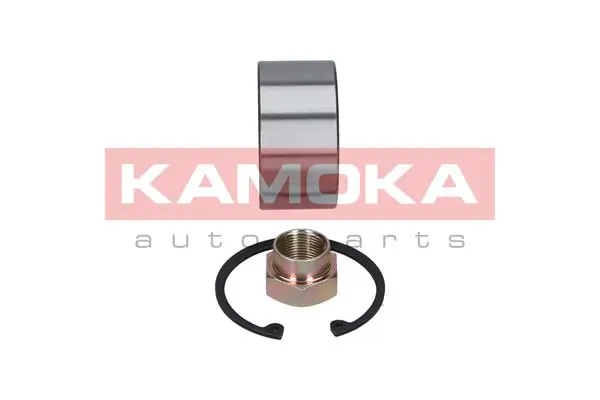 Wheel Bearing Kit 5600020