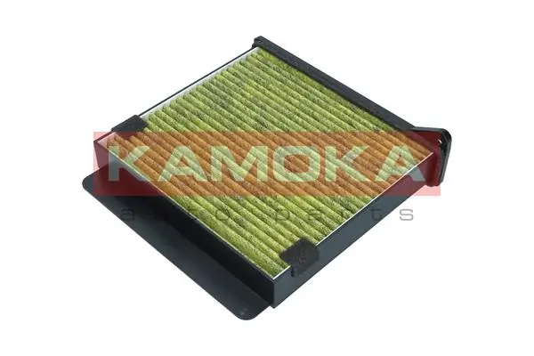 Filter, cabin air 6080052
