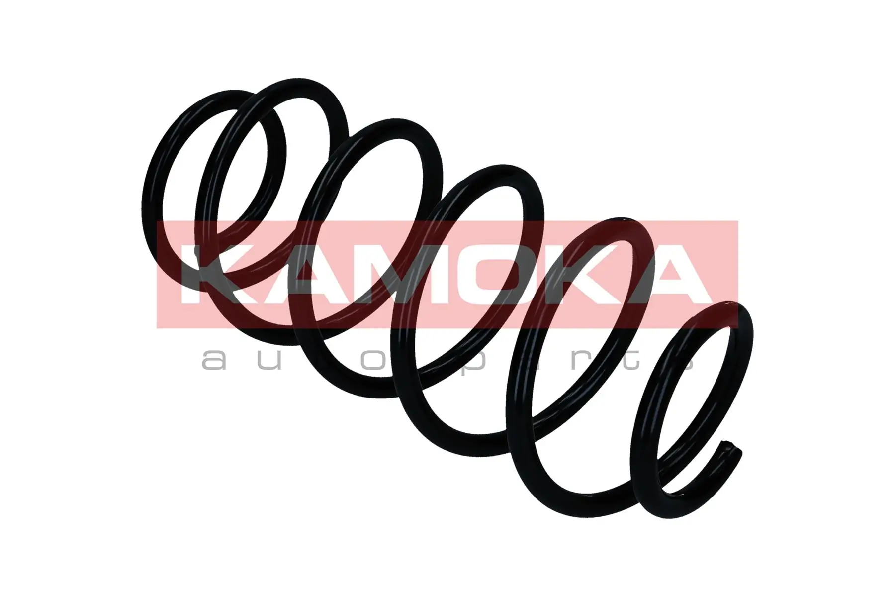 Suspension Spring 2110867