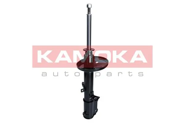 Shock Absorber 2000947