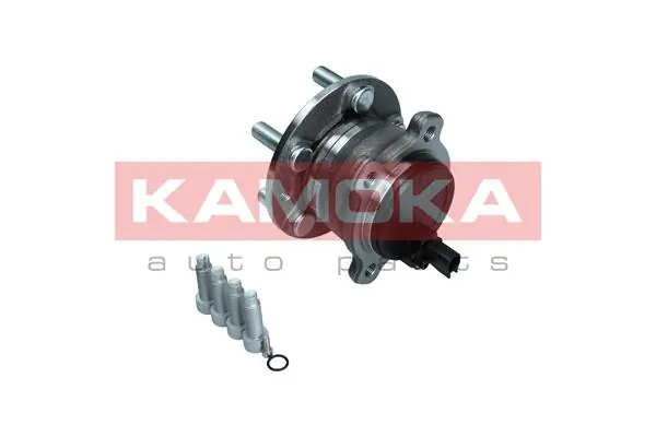 Wheel Bearing Kit 5500243