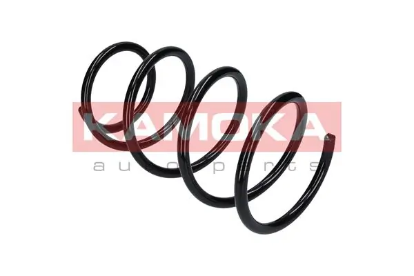 Suspension Spring 2110258