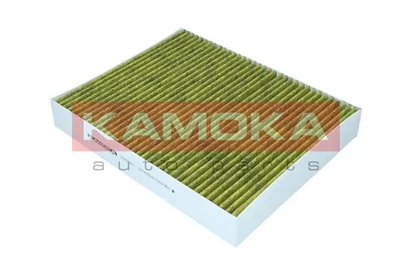 Filter, cabin air 6080060