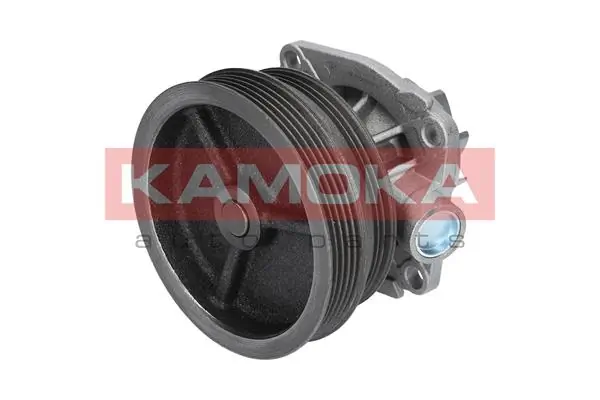 Water Pump, engine cooling T0112