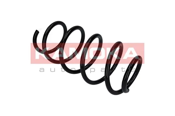 Suspension Spring 2110360