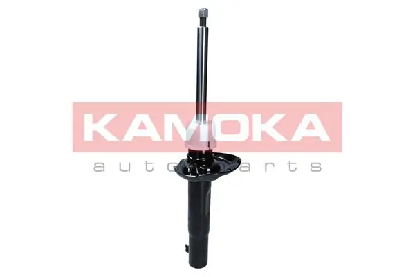 Shock Absorber 2000377