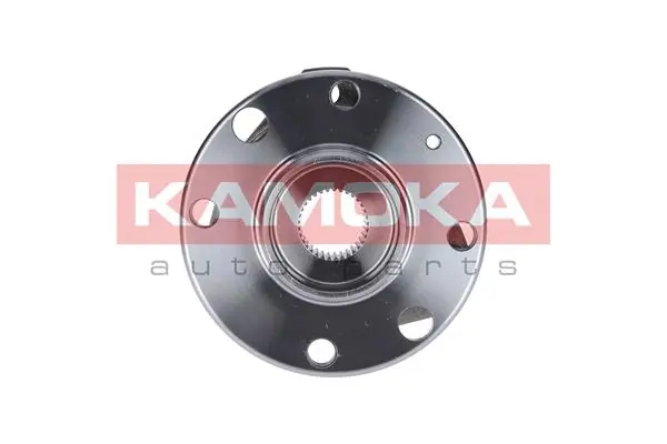 Wheel Bearing Kit 5500062